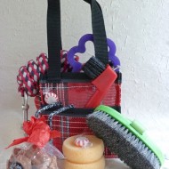 Riding Lesson Kit in Red tote