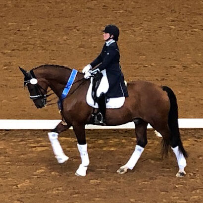 champion-dressage-4-web Champion Dressage