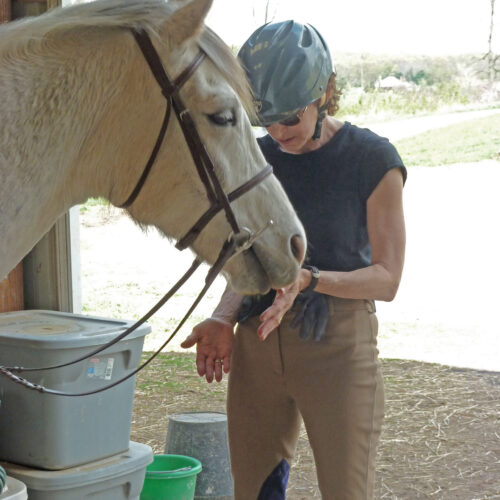rain in the barn rain in the barn